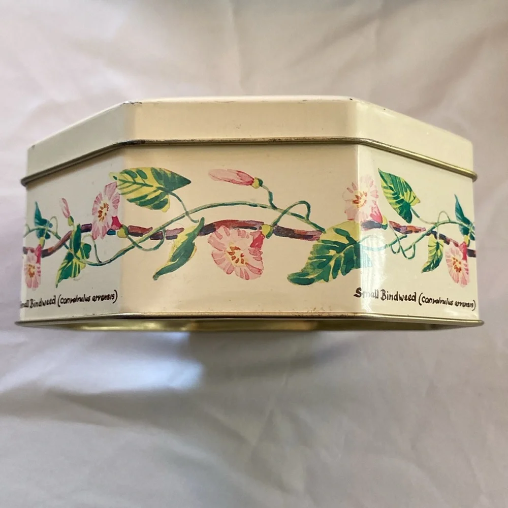 Vintage Design Richard Webb 1977 Naturalist Tin - Picture 2 of 6